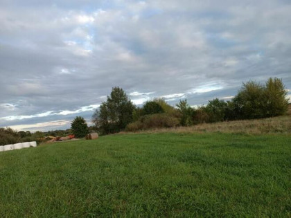 Sprzedam działkę rolną o powierzchni 0,9248