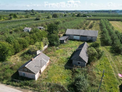 Sprzedam siedlisko z sadem – 8600 m² – Głodno
