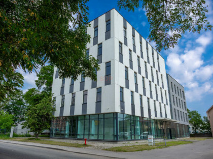 Lokal użytkowy Wrocław Psie Pole, Karłowice, Kępińska