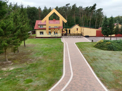Dom + budynki gosp. pod biznes, przy lesie.