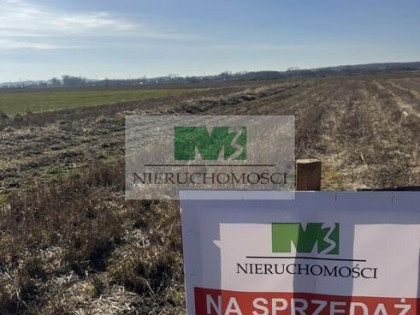 DO SPRZEDAŻY DZIAŁKA Z MOŻLIWOŚCIĄ ZABUDOWY-DĘBNO-