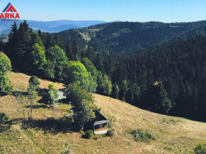 Dom Piwniczna-Zdrój