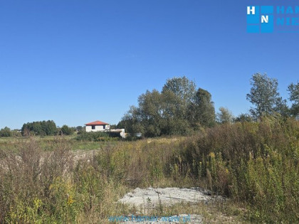 Falenty Nowe, okolica nowo powstających domów