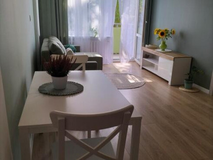 Przytulne mieszkanie do wynajęcia