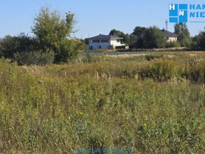 Falenty Nowe, okolica nowych domów