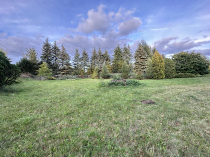 Zbuduj swoją przyszłość.