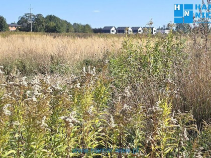 Działka Falenty Duże, optymalna powierzchnia 630m2