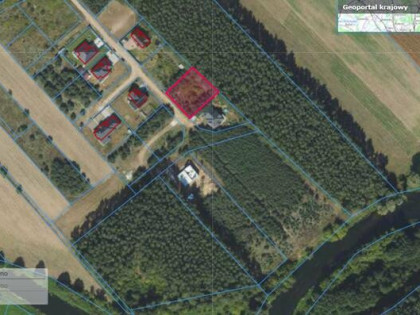 Działka ze ścianą lasu, Podzamek Golubski