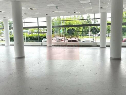 Lokal użytkowy Warszawa Praga-Południe