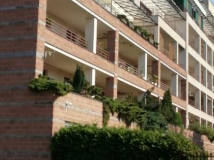 Apartament w centrum