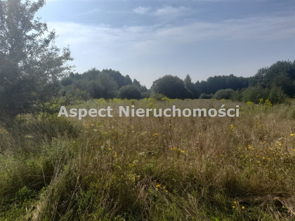 Działka Wasilków Dąbrówki