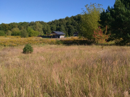 Działka budowlana 2001m2,Pilchowo,plan,media,las.