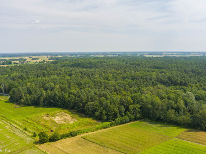 Działka leśna- Narożniki- Radgoszcz