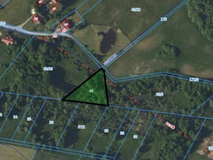 Okuniowiec - działka przy lesie