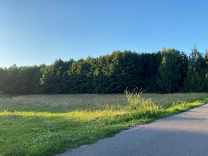 Okazja. Działki rolno-leśne o łącznej powierzchni 3 ha.