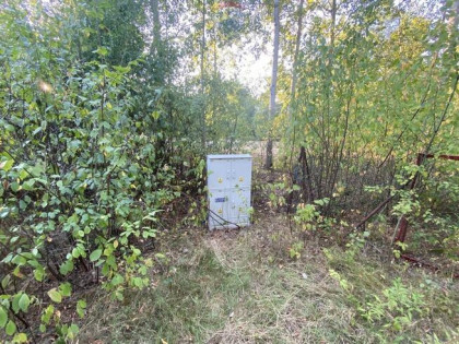 Działka w spokojnej okolicy