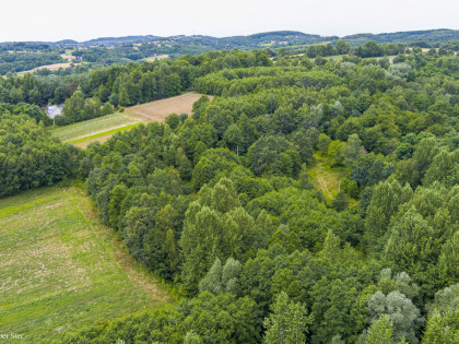 Działka rolna- Buchcice- Tuchów- Małopolska