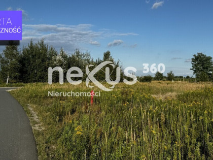 Odkryj Magię Podkowy Leśnej–Perła Nadolic Wielkich