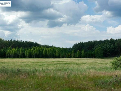 Działka rekreacyjna Zgniłocha gm. Purda