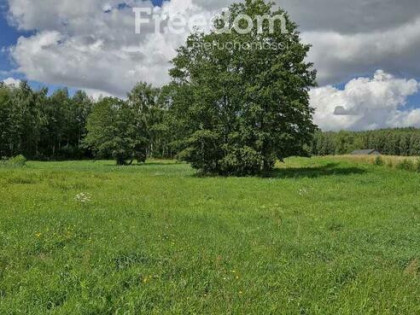 Działka z własnym stawem na Mazurach - 3769 m²