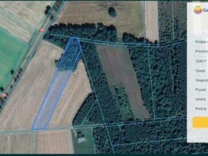 Działka rolno-budowlana Siemiatycze / Klin połosy 1ha