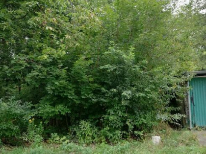 sprzedam działke 23 m2 pod garaz Brzeg dolny