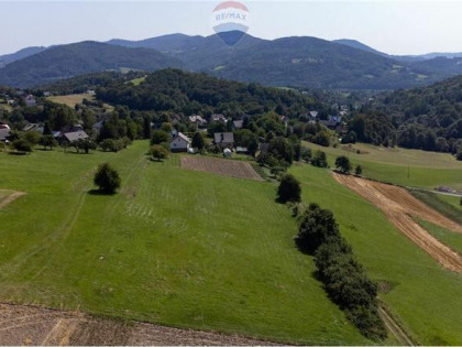 Grunty 5 400 m² – widok, las i działka z WZ