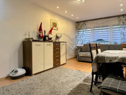 Historia Czerwonej Włóczki