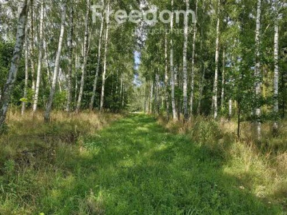 Malownicza działka z zagajnikiem na Mazurach-3957m