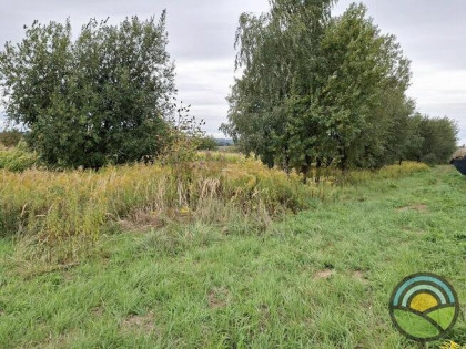 Kobylany gm. Zabierzów - płaska, 35-arowa działka budowlana