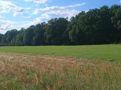 Działka rolno-budowlana 20ar 56mx36m