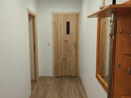 Wynajmę mieszkanie studentom