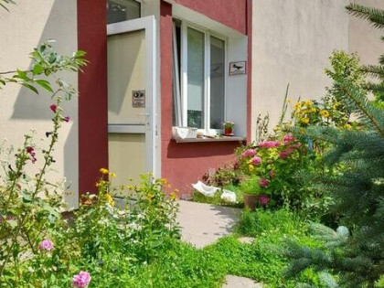 w kamienicy parter CENTRUM 60 m2 z ziemią 101,35 m2