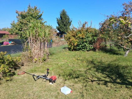 Sprzedam działkę rekreacyjną na Jagodnie