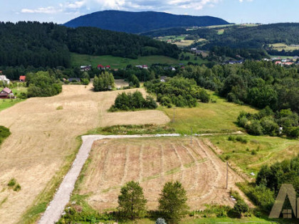 Działka 10 arowa na sprzedaż