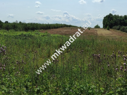 ⭐⭐⭐⭐ Okazja Działka 19000m2 z warunkami zabud!⭐⭐⭐⭐