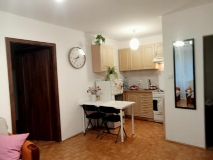 sprzedam mieszkanie 47m ul Okrzei parter oferta prywatna