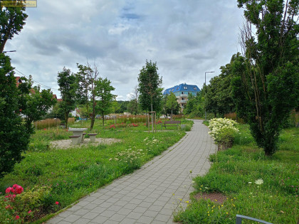 Mieszkanie Gdynia Wielki Kack ul. Maszopów