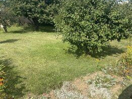 Sprzedam działkę ROD – Dys, „Sami Swoi”, 480 m²