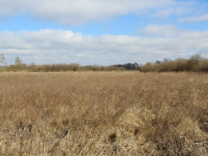 Działka rekreacyjna w Kwiku blisko jeziora Białoławki