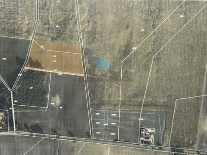 Działka inwestycyjna Łubowo Owieczki, Owieczki