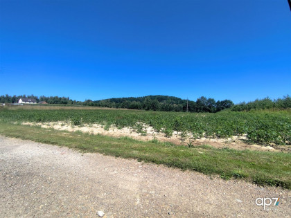 Działka Dobranowice