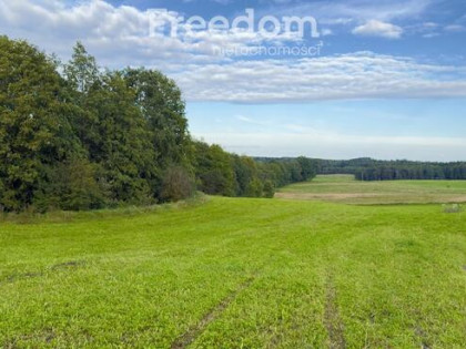 Działki budowlane Wronka k. Giżycka