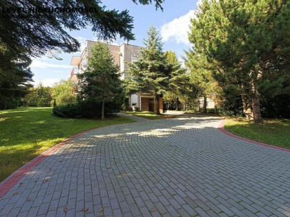 Dom na dużej działce w Elblągu