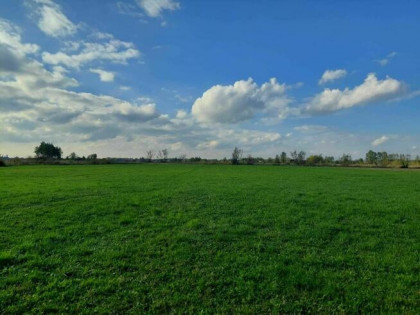 Sprzedam działkę rolną w Trześni