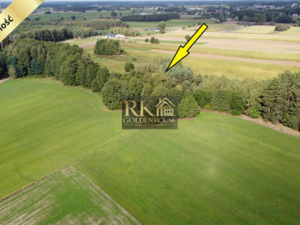 Idealne miejsce na budowę domu pośród drzew - Bale