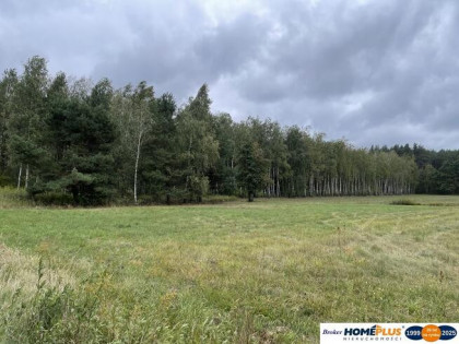 Działka bud. 4113 m² w Sierakowie koło Radzymina.