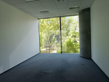 Lokal użytkowy Warszawa Śródmieście, Świętokrzyska