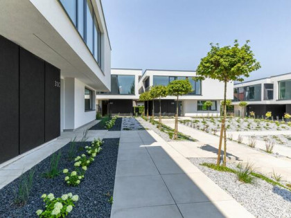 Dom Dąbrowica gm. Jastków,