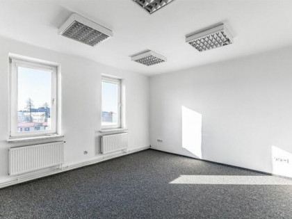 Lokal użytkowy Lublin Konstantynów,